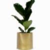 Stainless Flowerpot 2 