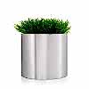 Stainless Flowerpot 5