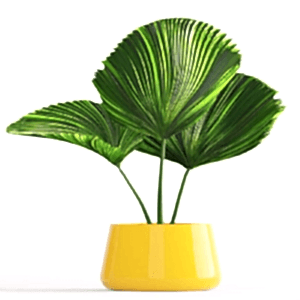 Fiber Flowerpot 14