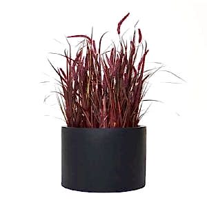 Fiber Flowerpot 21