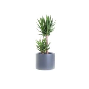 Fiber Flowerpot 13