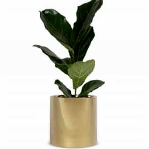 Stainless Flowerpot 2 